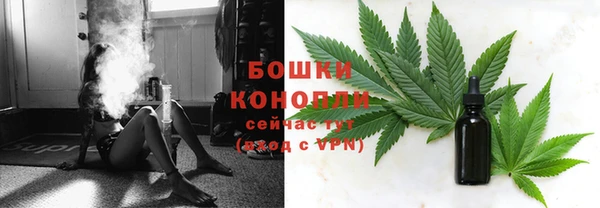 гидра Вязники