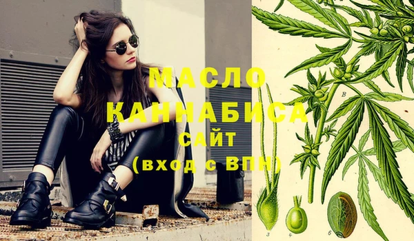 дмт Володарск