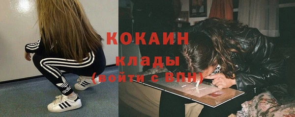 гидра Вязники